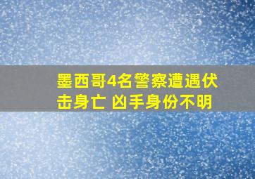 墨西哥4名警察遭遇伏击身亡 凶手身份不明